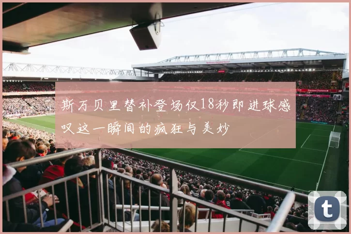 斯万贝里替补登场仅18秒即进球感叹这一瞬间的疯狂与美妙