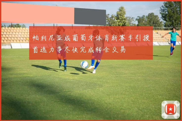 帕利尼亚成葡萄牙体育新赛季引援首选力争尽快完成转会交易